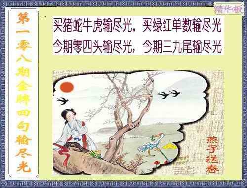 金牌四句输尽光 第108期