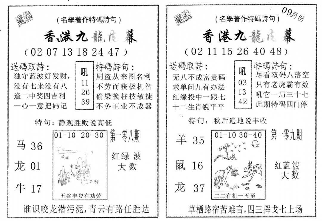 九龙内幕AB 第108期