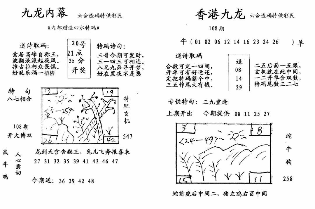 九龙内幕--开奖报 第108期