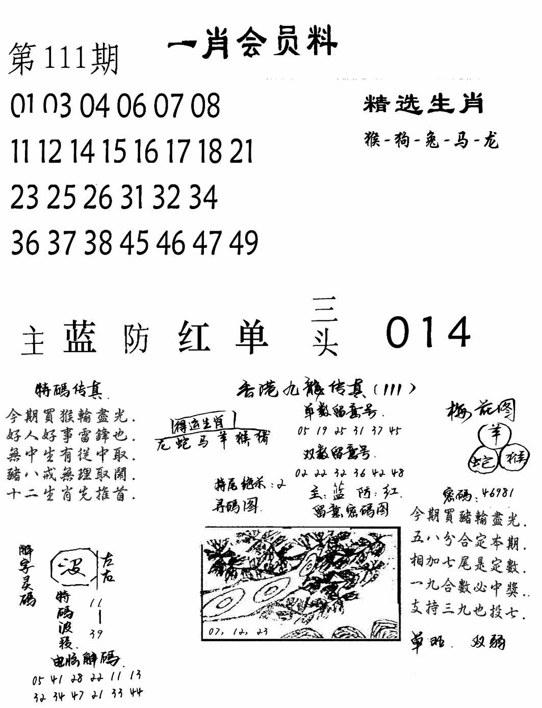 一肖会员料 第111期