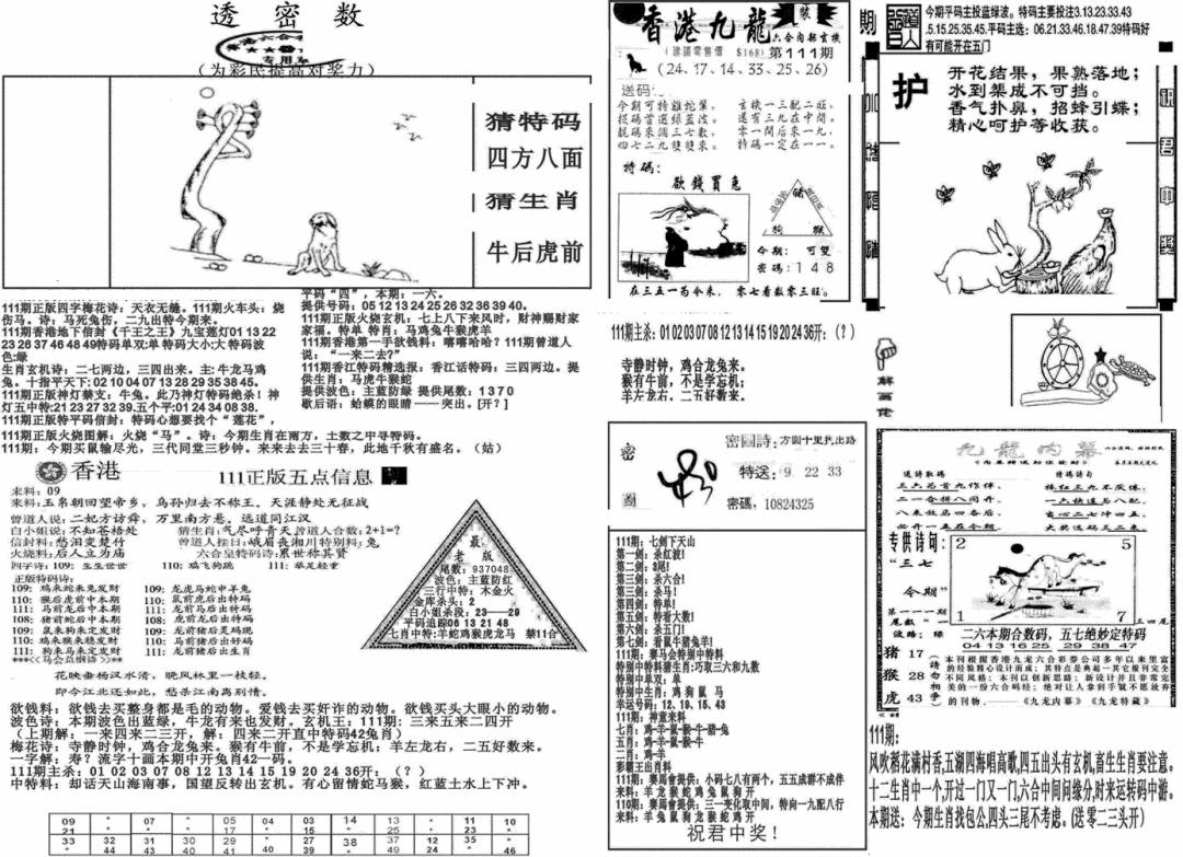 新透密数B(新) 第110期