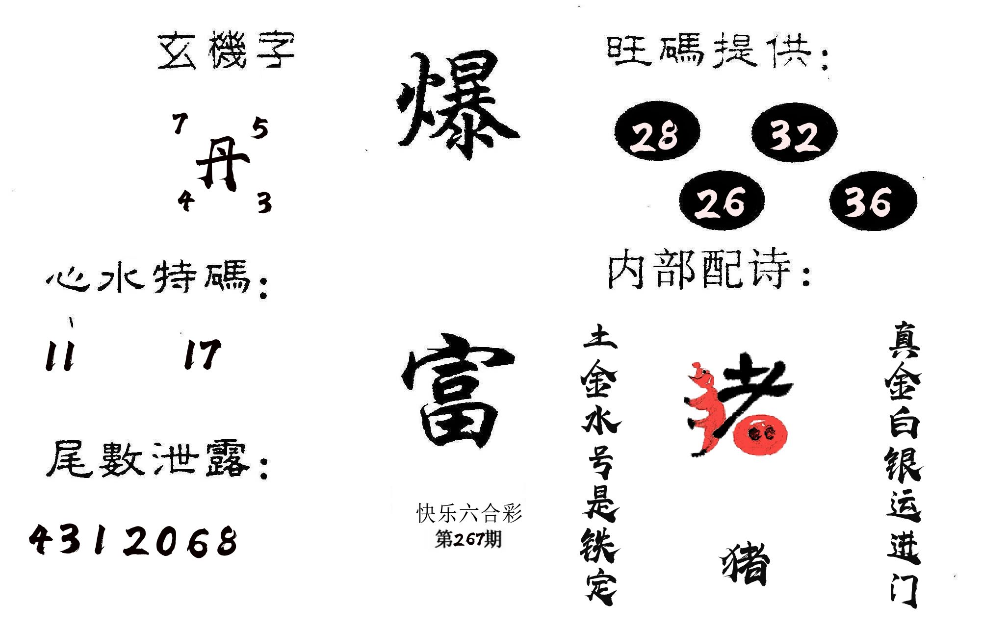 爆富 第267期