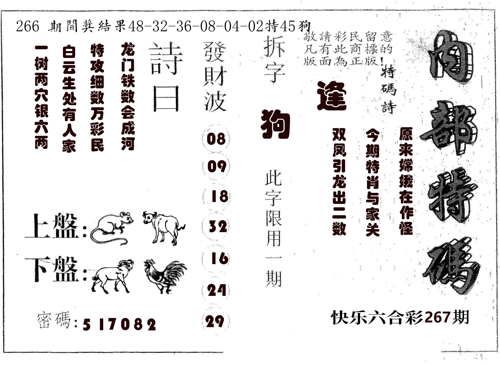 内部特码 第267期