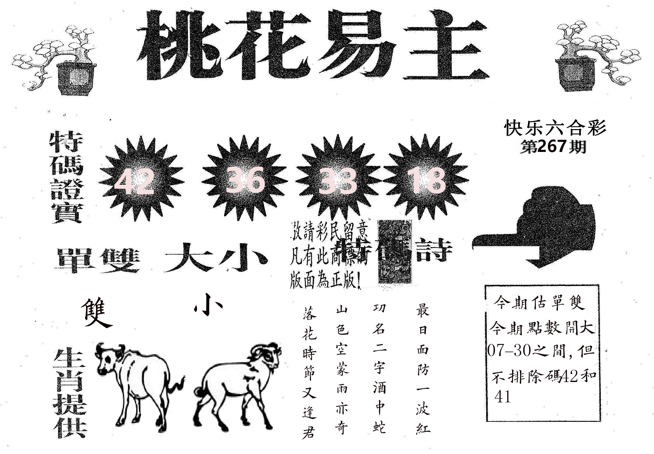 桃花易主 第267期