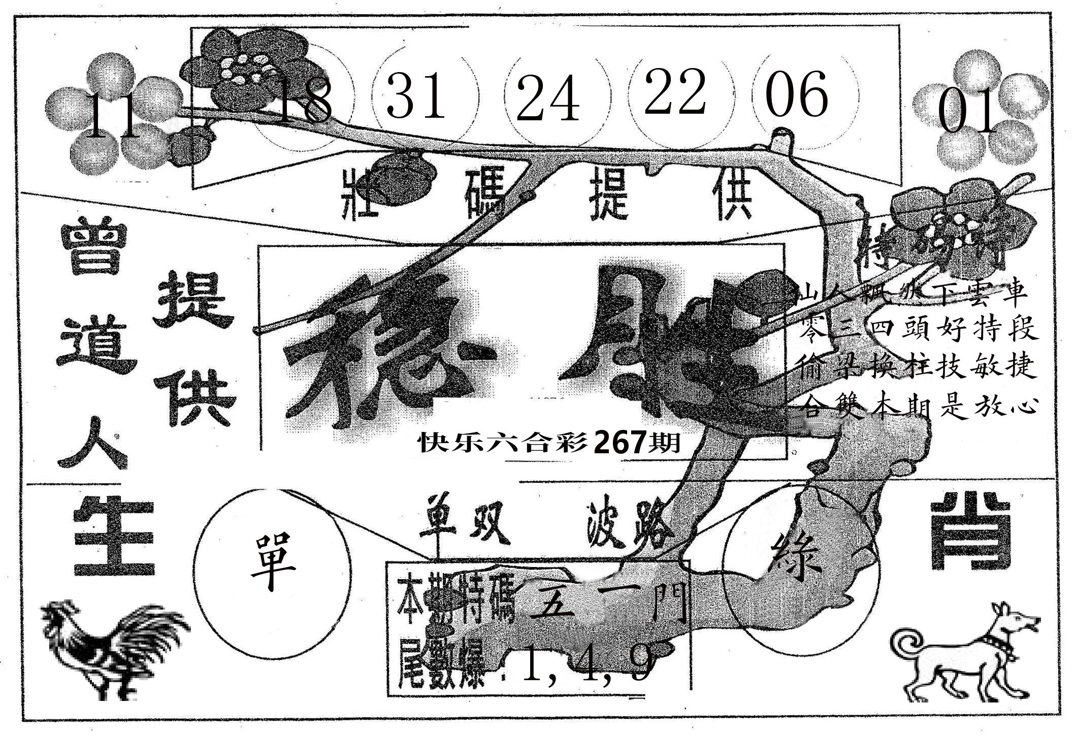 稳胜 第267期