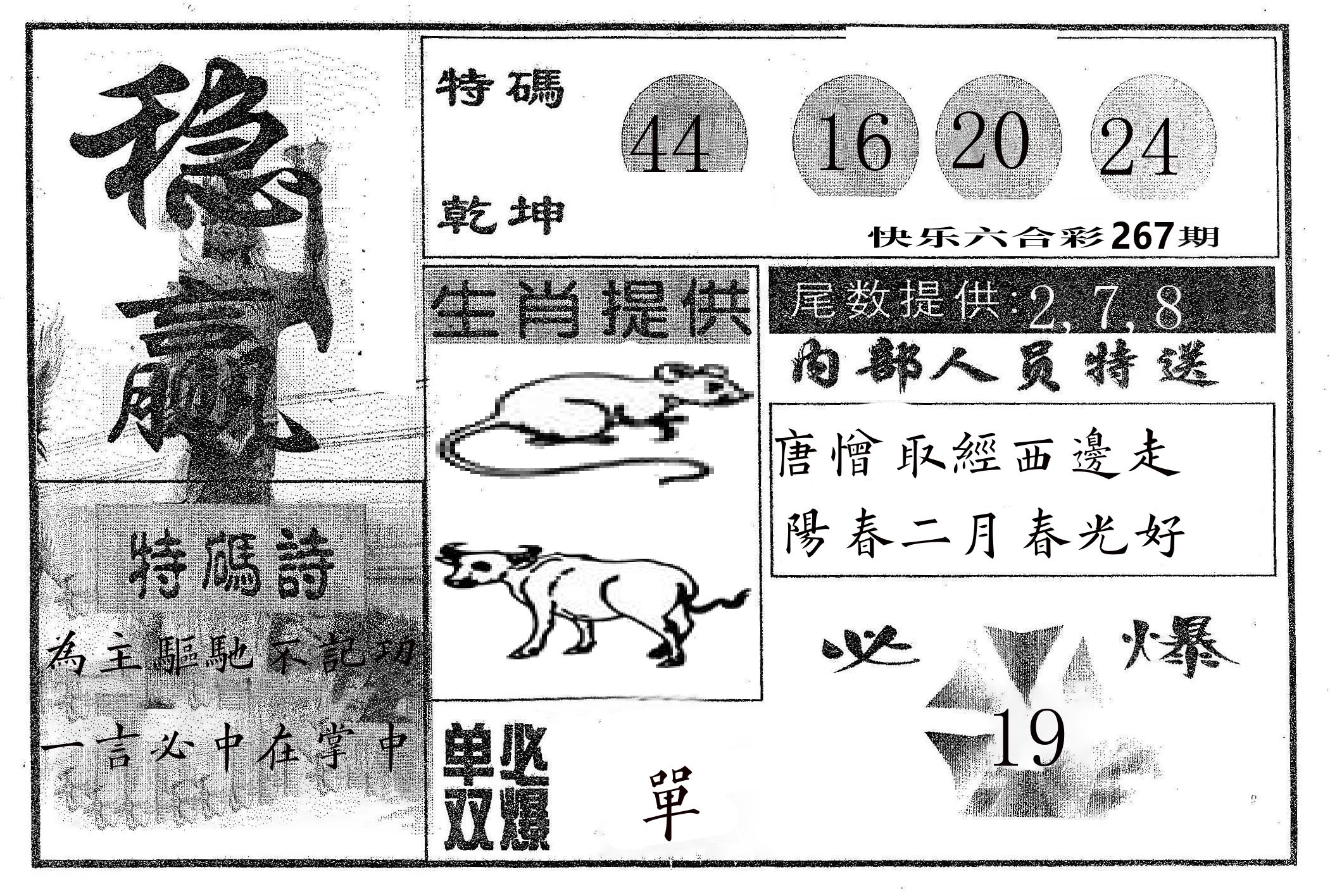 稳赢 第267期