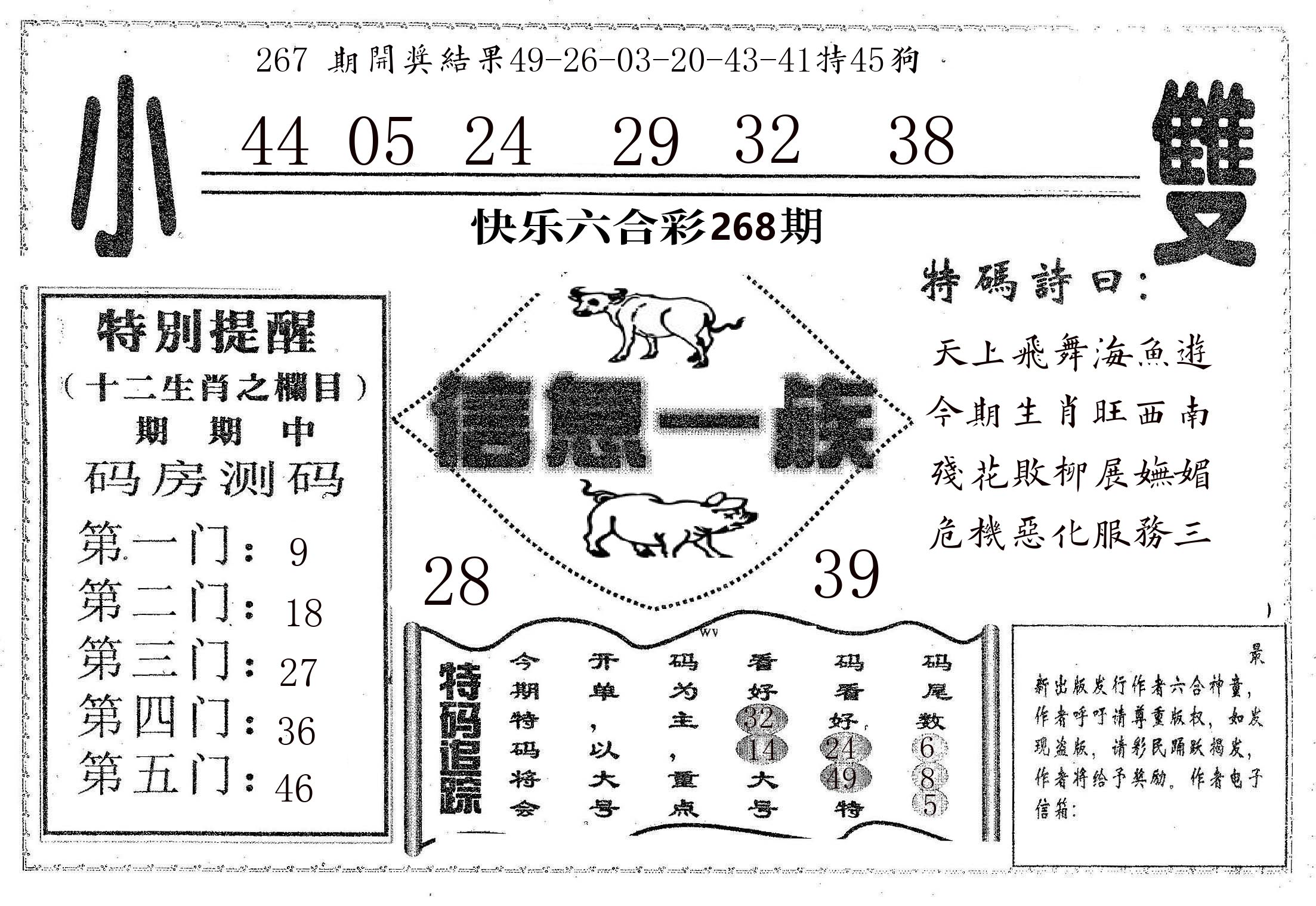 信息一族 第267期