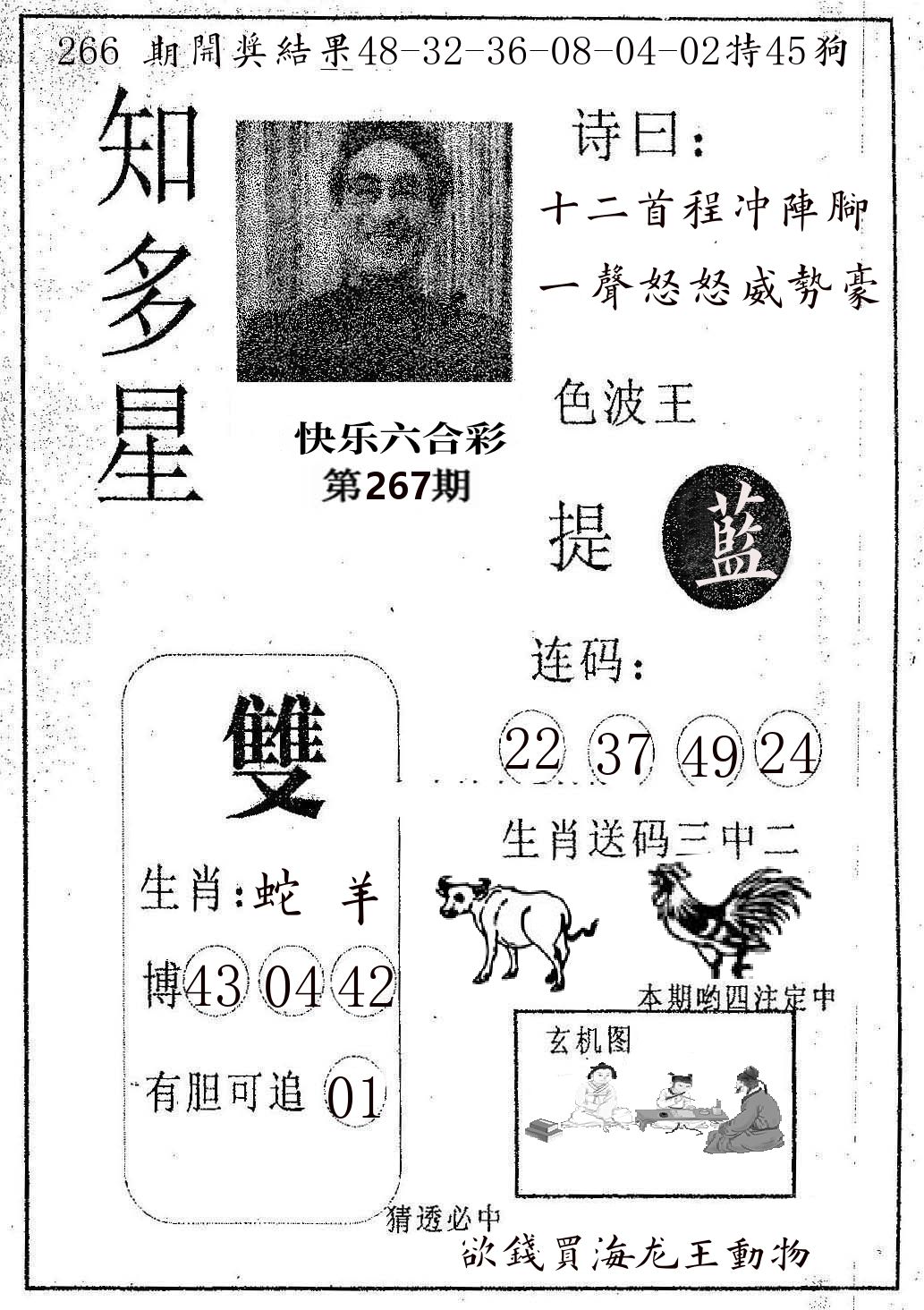 知多星 第267期
