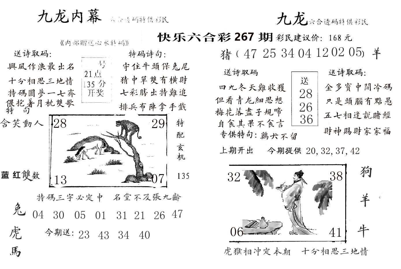九龙内幕 第267期